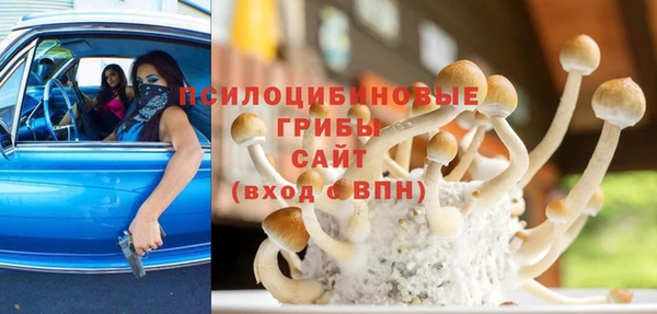 экстази Новодвинск