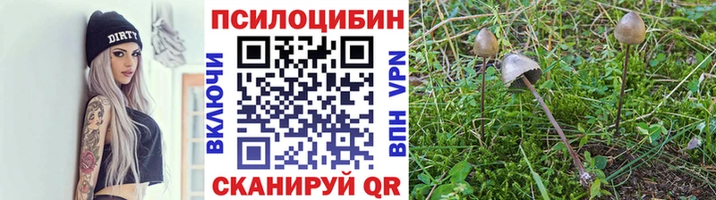 Псилоцибиновые грибы GOLDEN TEACHER  Купить где  Анапа 